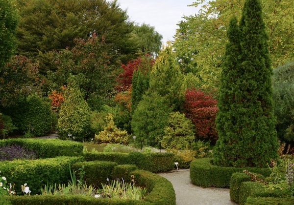 Сад в Торонто