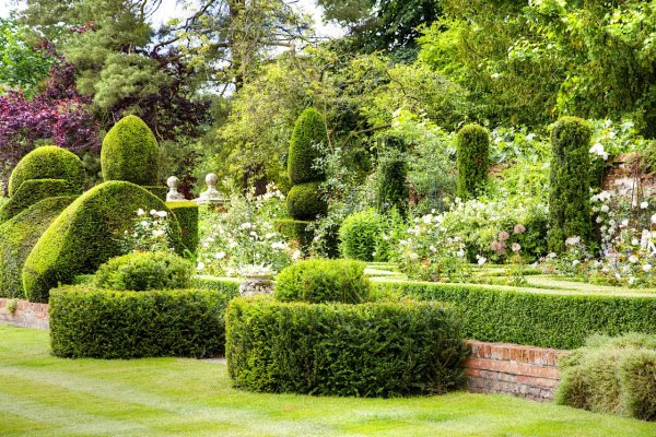 Парк кусты Англия