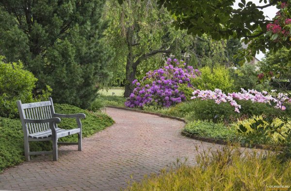 Парк лавочка Англия