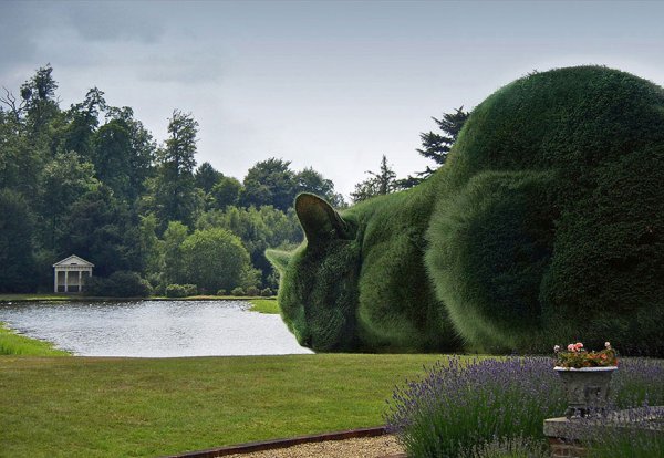 Ричард Сондерс Котокусты