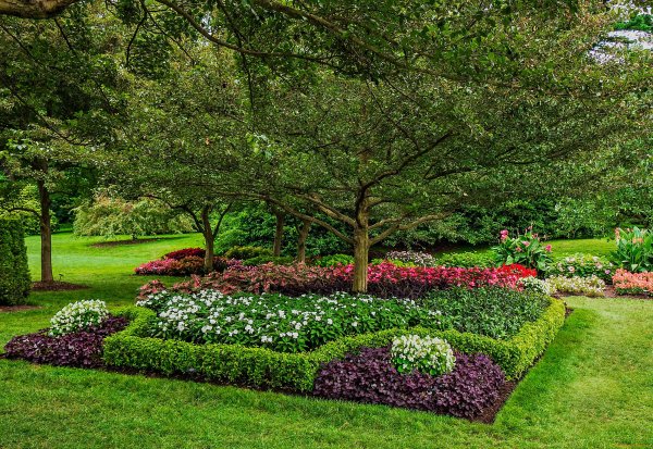 Наиль Купер ландшафтный дизайнер