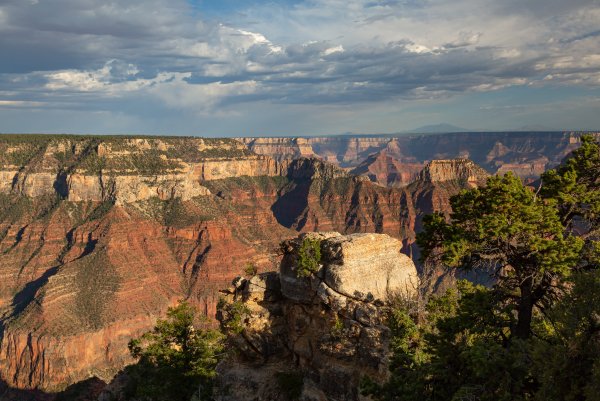 Каньон скала Аризона