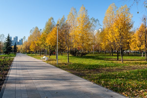 Сквер в Отрадном Москва
