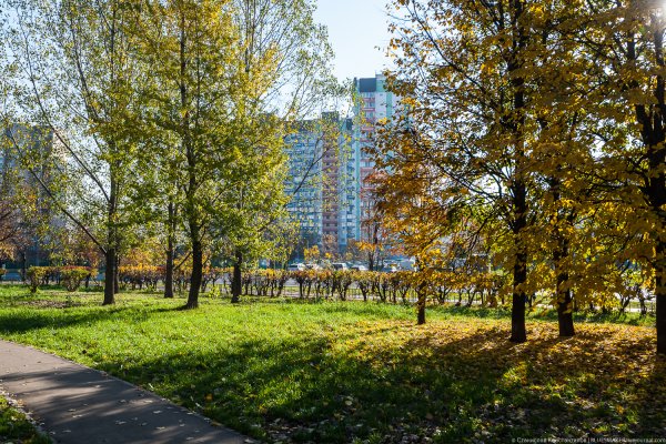 Сквер в Отрадном Москва