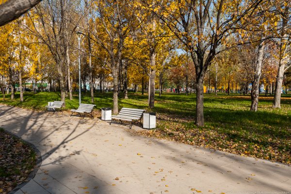 Сквер Отрадное парк
