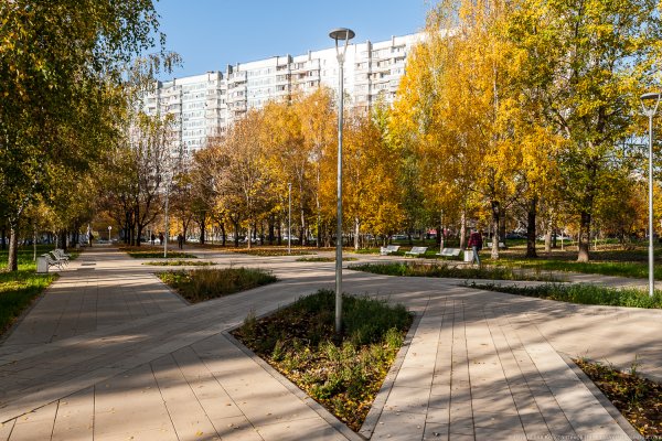 Отрадное район сквер