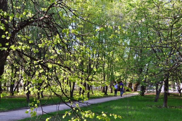 Городской парк Отрадный Самарская область
