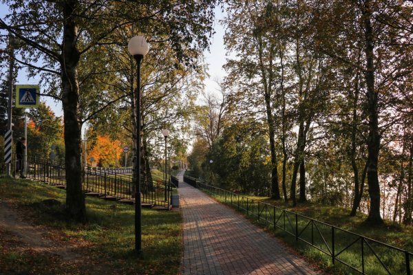 Отрадное Ленинградская область