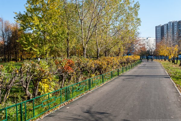 Метро Отрадное парк