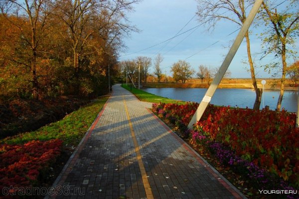 Парк Солнечный Отрадное