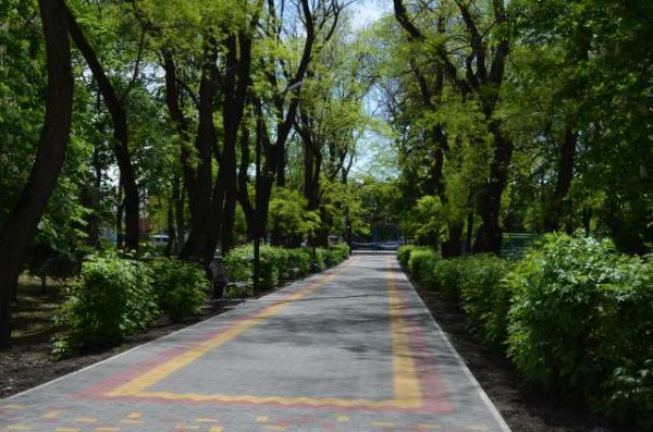 Парк софора Отрадная Краснодарский