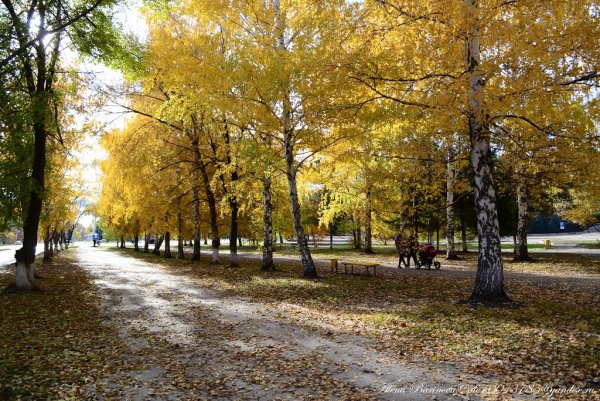 Городской парк Отрадный Самарская область