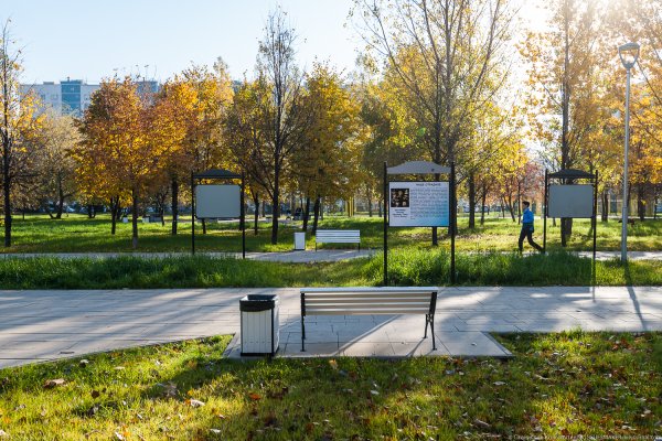 Сквер метро Отрадное