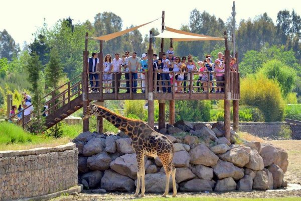 Зоопарк Wildlife Park Izmir