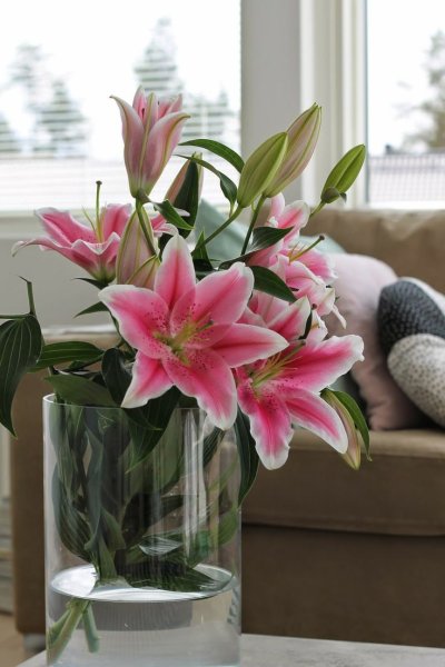 Пусть в доме пахнет счастьем