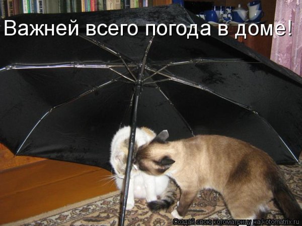 Важней всего погода в доме