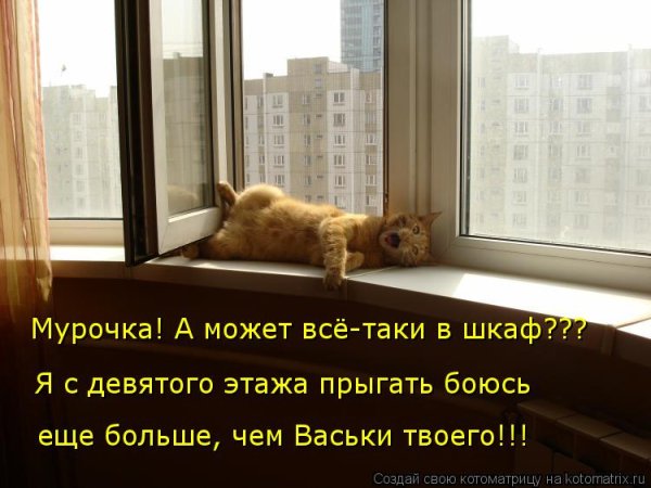 Цитаты про окна