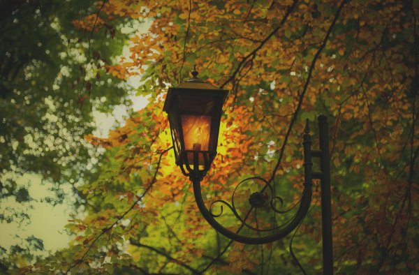 Фонари в парке