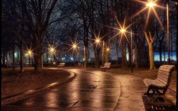 Ночная аллея в парке