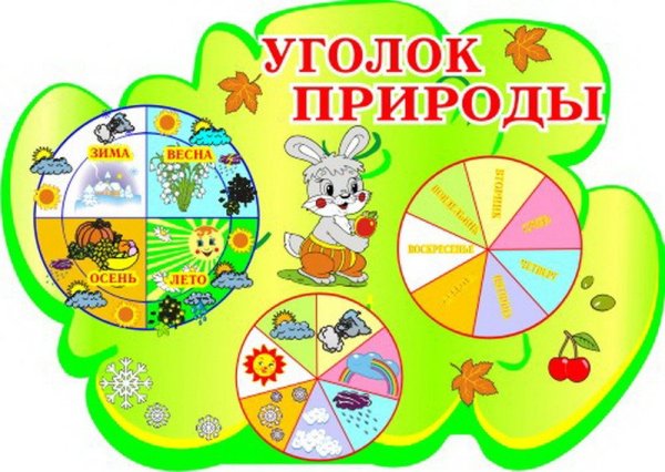Стенд "уголок природы"