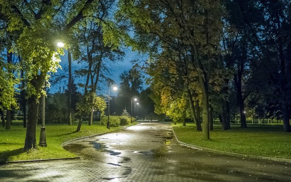 Ночной Питер парк