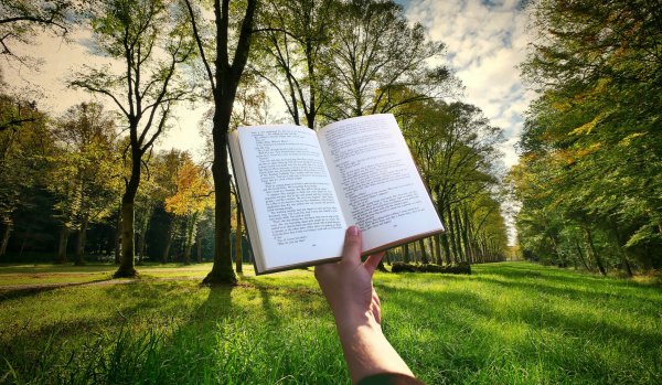 Книга на фоне природы