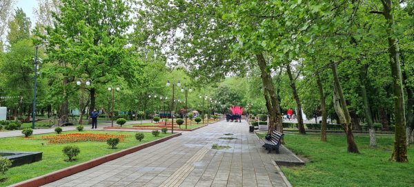 Парк имени Ленинского Комсомола