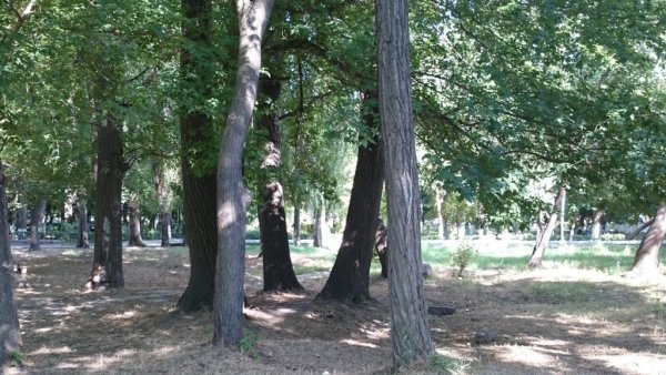 Парк культуры и отдыха имени Ленинского Комсомола (Махачкала)