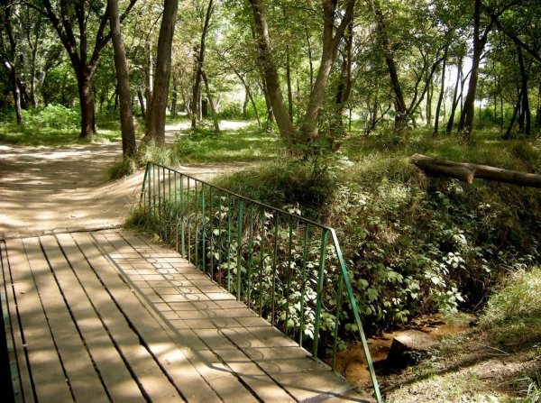 Комсомольский парк Махачкала