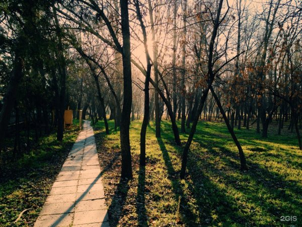 Комсомольский парк Махачкала