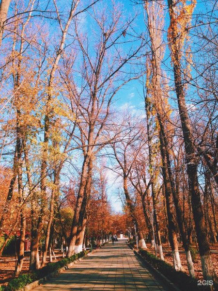 Комсомольский парк Махачкала