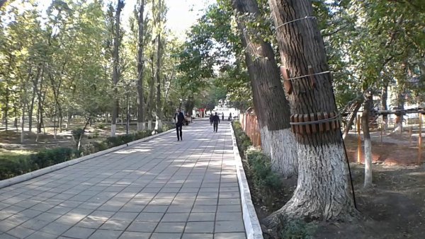 Комсомольский парк Махачкала