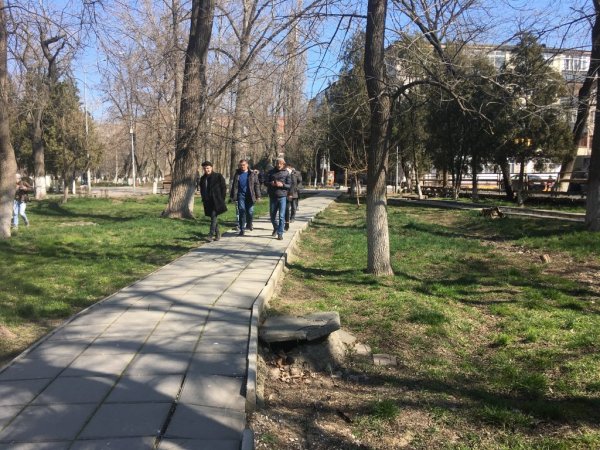 Парк Швейцария парк Ленинского Комсомола