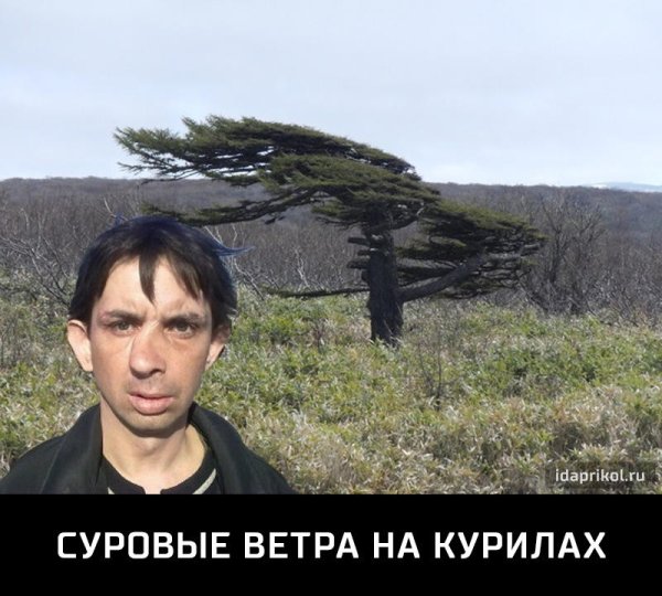 Мужик с кривым носом и дерево