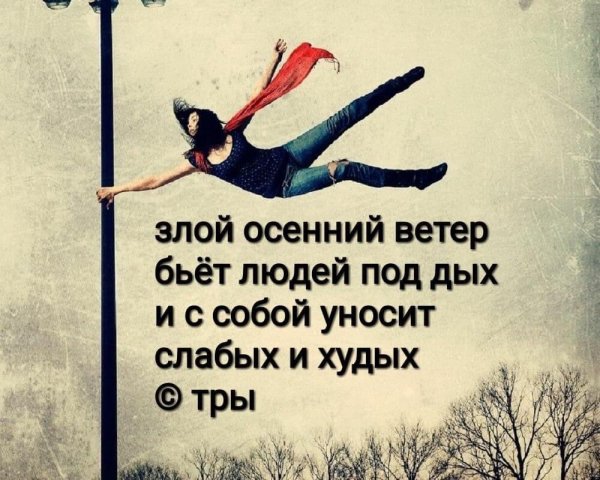 Злой осенний ветер бьёт людей