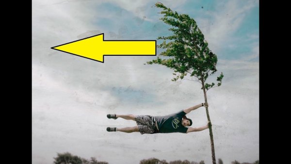 Мем сдуло ветром