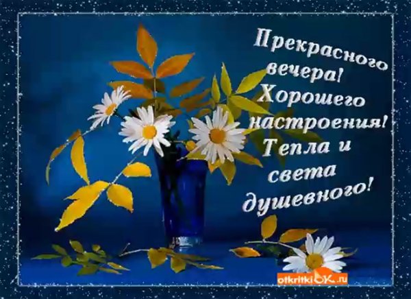 Хорошего вечера и отличного настроения