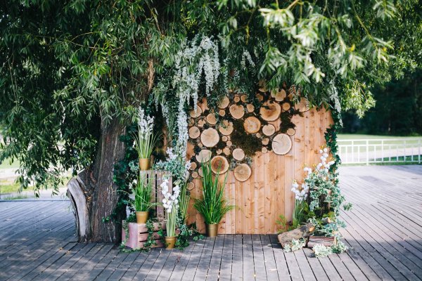 Фотозона дерево