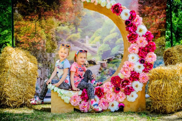 Арка фотозона в детском саду