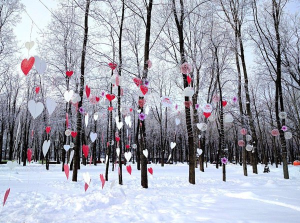 Зимний парк