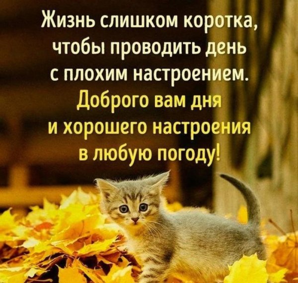 Хорошего нас иоения в лю.ую МОГОДК