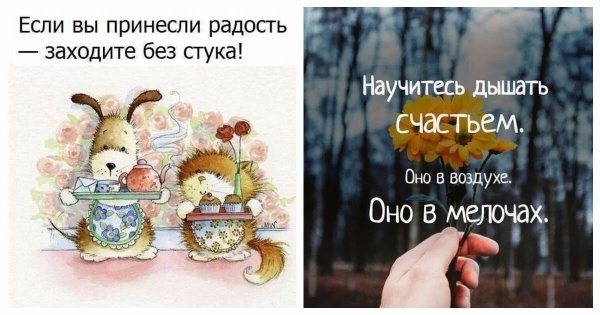 Маленькие радости цитаты