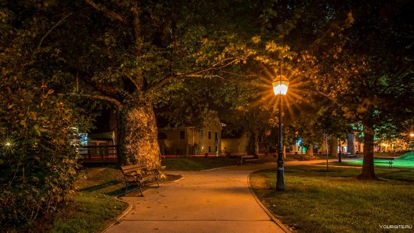 Городской парк ночью Жуковский