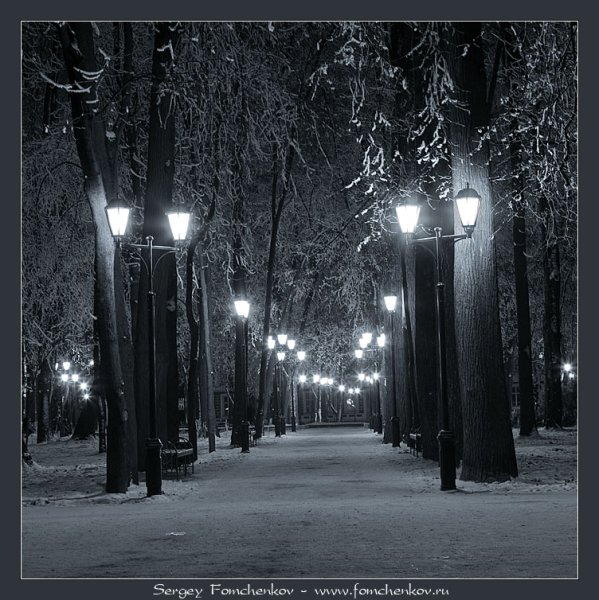 Ночной зимний парк