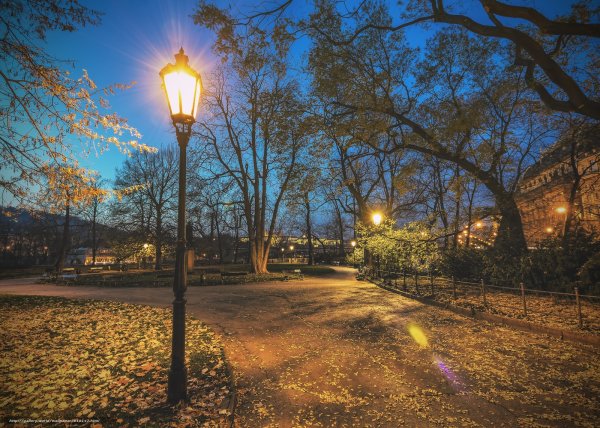 Фонари в парке