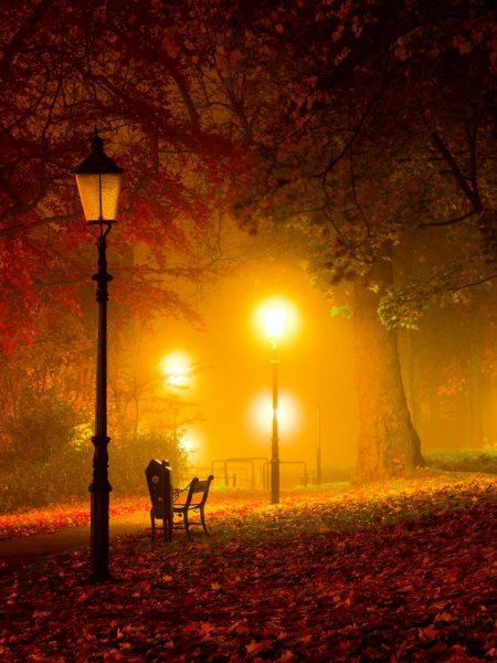 Осенний вечер