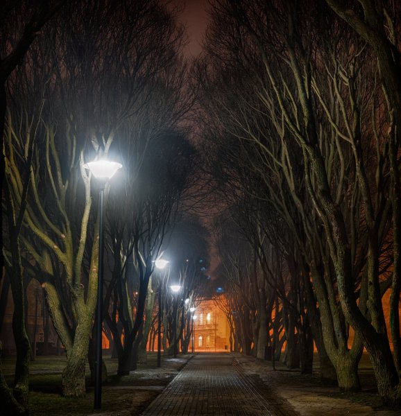 Ночная аллея Тольятти