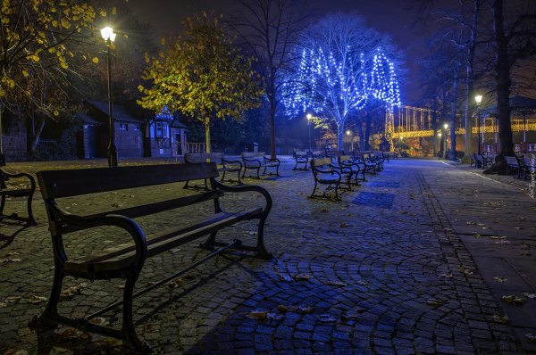 Кагальник парк ночью