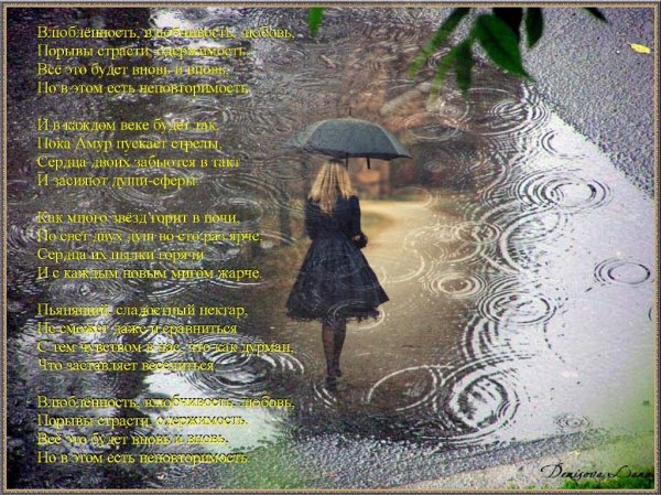 Дождливый день