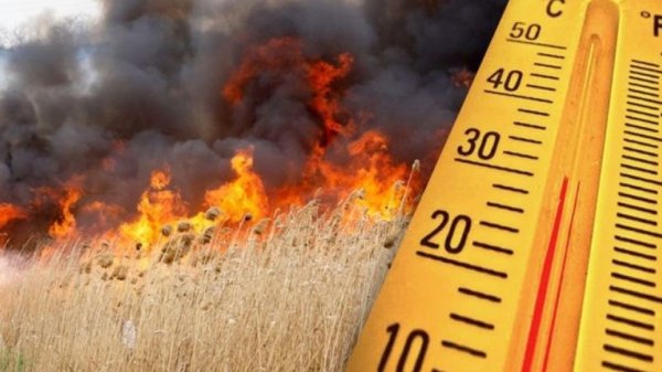 Аномальная жара засуха
